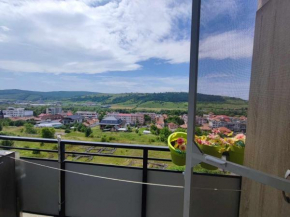 Apartament Lari